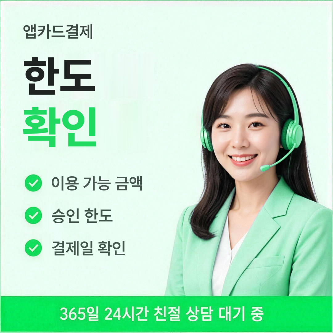 다음머니 앱카드결제 한도 확인 안내 배너 이미지